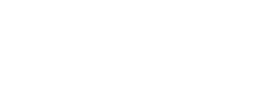 SIMS Logo
