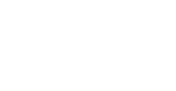 University College of Professional Education (Poland)